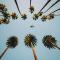 En Vogue Top Floor Property Ocean View - Los Angeles