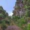 Cape Howe Cottages - Lowlands