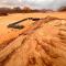 Bedouin Tours Camp