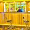 HOTEL STAR HOLIDAY PVT LTD