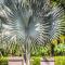 Filou Studio Butterfly Pool Access 29 66 - Koh Chang