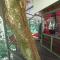 Finca Valeria Treehouses Glamping