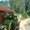 Finca Valeria Treehouses Glamping