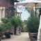 Beachfront 4 BR Penthouse - Pool Steps to Beach & Mins to Downtown - 罗萨里托