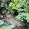 BUTTERFLY BEND - 3 Bedroom Daintree Beach House