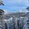 Chalet Greuffa