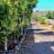 FINCA BEROLO 1