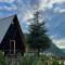 Himalayan Manor A-Frame House