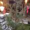 Guesthouse Gonia