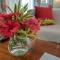 La Maison Hibiscus Self Catering Accommodation