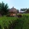 MATHIS Retreat Ubud - 乌布