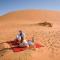 Camp Sahara Majestic
