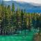 Take Me to Tahoe