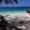 Apt Turtle Beach your home at the beach
