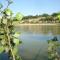 Les Bords de Loire