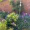 Stylish Town Centre House with Garden and Parking Opposite