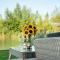 Luxury lakeside property with spa access ML44