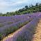 La Bastide de Villecroze - 维勒克罗兹