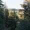 Redwoods River Resort & Campground - Leggett Redwoods River Resort & Campground - Leggett