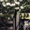 Gierle Garden Bungalow Escape
