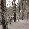 Gierle Garden Bungalow Escape