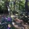 Gierle Garden Bungalow Escape