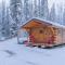 1 Bd. Deluxe Log DRY Cabin| Views Northern Lights!