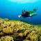 Sanctum Una Una Eco Dive Resort - Pulau Unauna