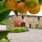Tenuta Di Sticciano