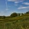 Inness