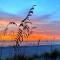 Paradise Found - Clearwater Beach