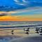Paradise Found - Clearwater Beach