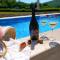 Villa Viktoria with private pool, barbecue, gym, childrens playground