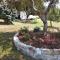 Ases Villa Lagonisi Halkidiki