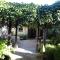 Cissus Hotel Boutique