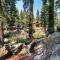 Mid-Cent. Redwood Retreat w/ Sparklebridge - Alpine Meadows