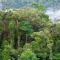 The Litchi Tree Amber Mountain Boutique Hotel