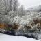 Bring a Pet Smoky Mtn Vacation Rental with Yard!