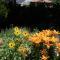 Well-Appointed Family Home in Aurora/Denver Colorado