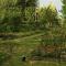 Cozy ,artistic cottage in a garden setting close to the beach and hiking trails.