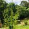All Green Residence
