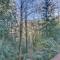 Cedar Creek Hideaway - Meredith Lodging - Welches