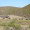Rooiberg Lodge