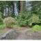 Redwood home on the Majestic Eel River (Pet friendly) - Scotia