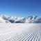 Hirsch - Saas-Fee