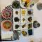 Garosugil Homestay - Female Only