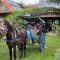 HOMESTAY ARGOPENI - Kalianget