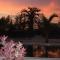 le baobab de nianing