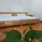 Ann Homestay Vũng Tàu - Vung Tau