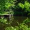 Privéparadijs,Houtvuur,Ongerepte natuur, Ardennen. - Éteignières